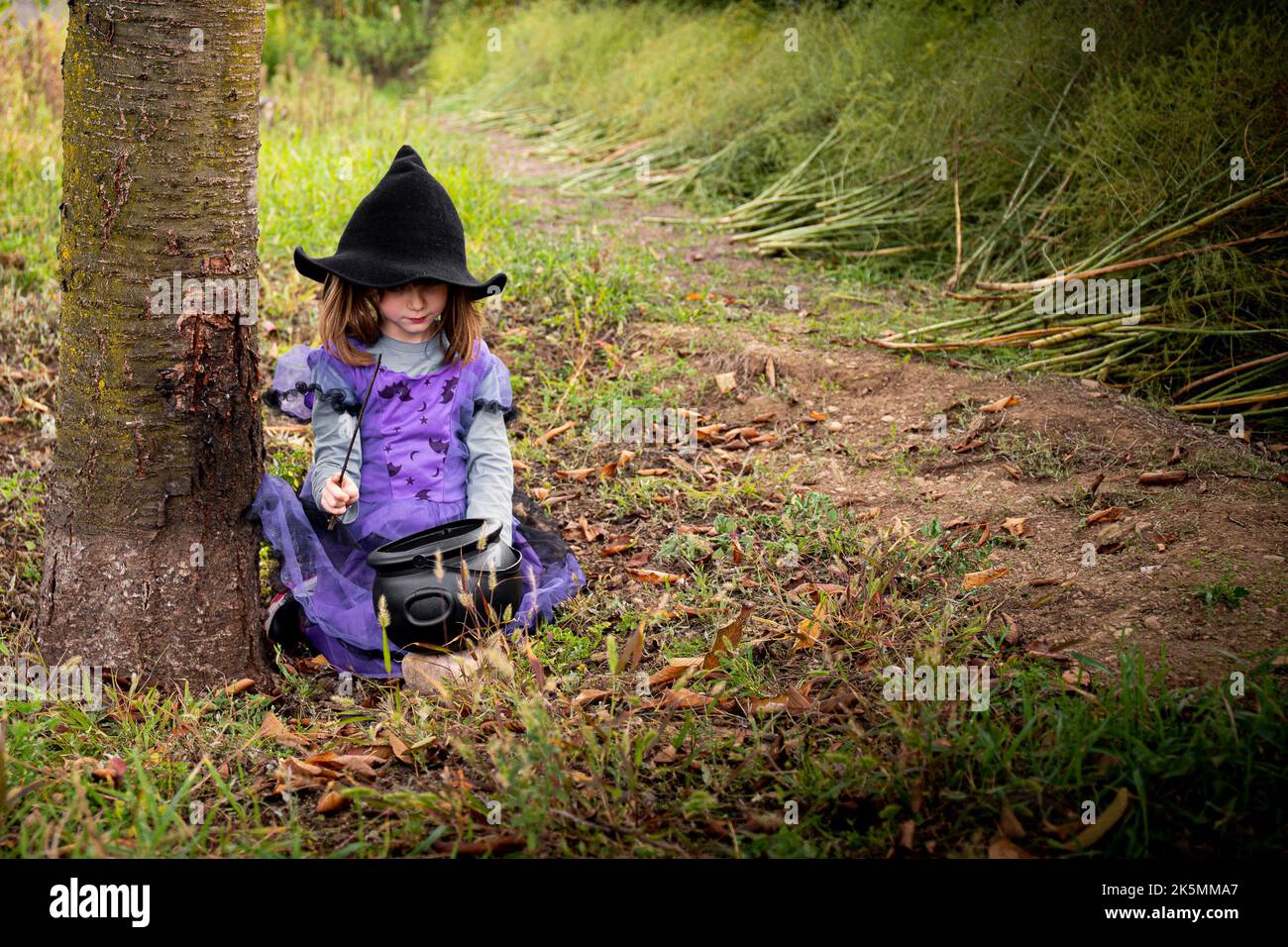 Costume da strega viola immagini e fotografie stock ad alta