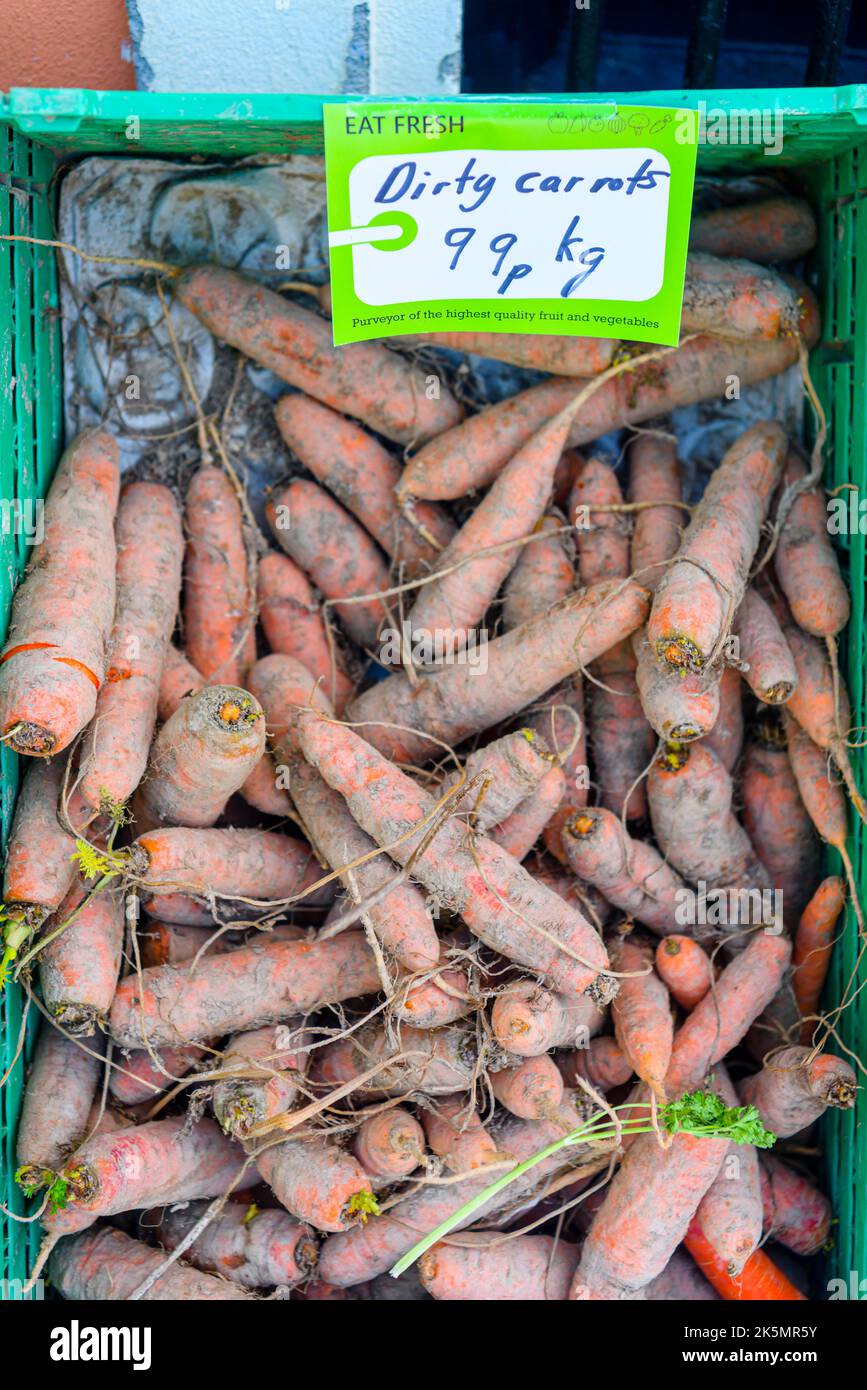 Scatola di carote etichettate 'carote irty' per la vendita in un negozio di fruttivendolo. Foto Stock