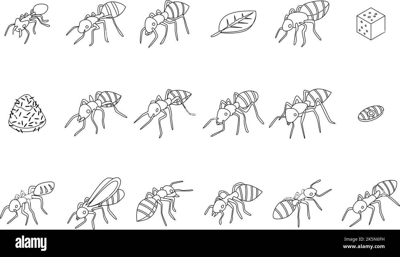 Icone ANT impostate. Insieme isometrico di icone vettoriali formiche delineano lne sottile isolato su bianco Illustrazione Vettoriale