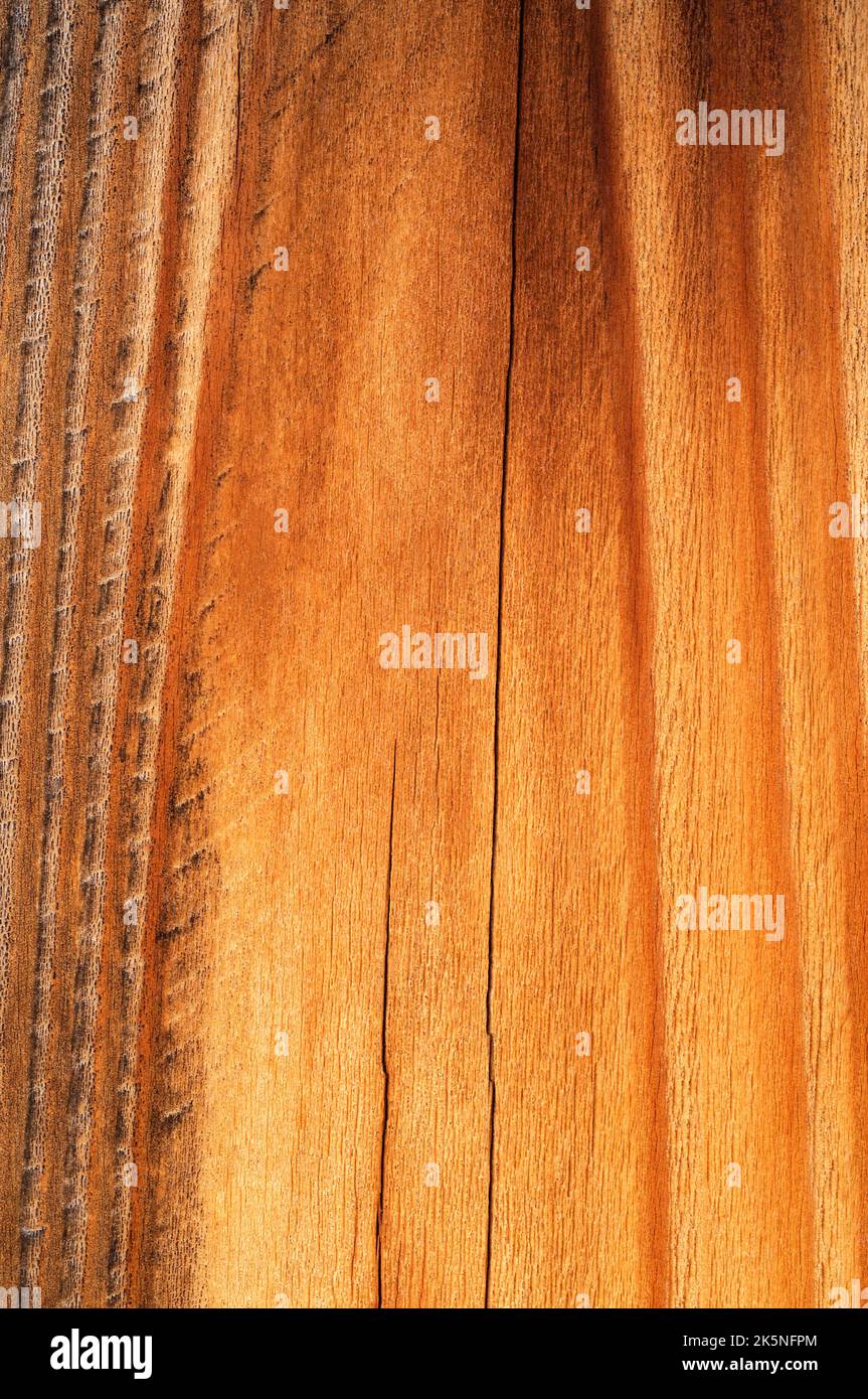 Modelli di grano su un pezzo di legno Foto Stock
