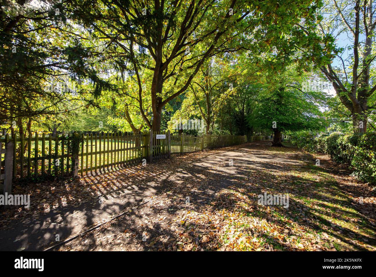 Lovers' Walk, un tempo conosciuto come Grove Walk, un sentiero boscoso a Dulwich, nel sud di Londra Foto Stock