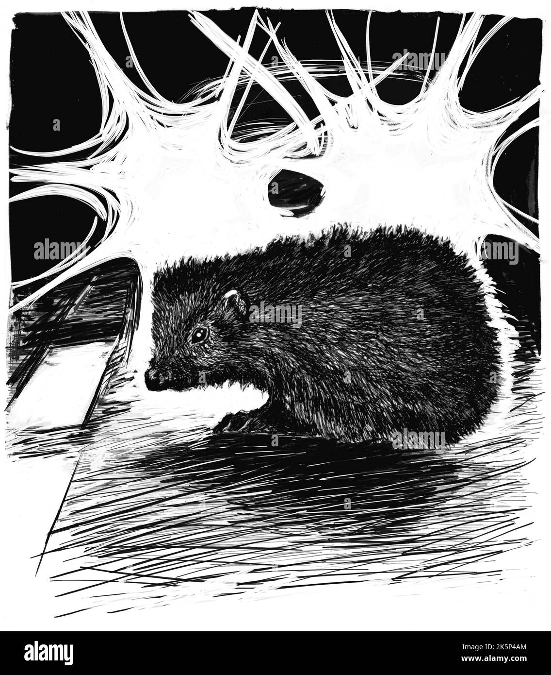 Attenzione: Un riccio sulla strada - un'illustrazione fatta con una penna sottile. Riccio illuminato dalle luci di una vettura in arrivo. Foto Stock