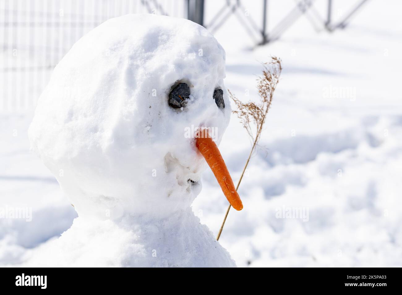 Pupazzo di neve a forma di inverno, inizio inverno, nevicate e cadute di temperatura, concetto, prima gioia dei bambini neve Foto Stock