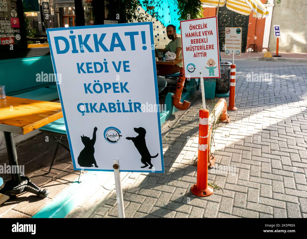 Attenzione, gatti e cani possono uscire simpatico simpatico segno divertente in strada a Balat, Istanbul, Turchia Foto Stock