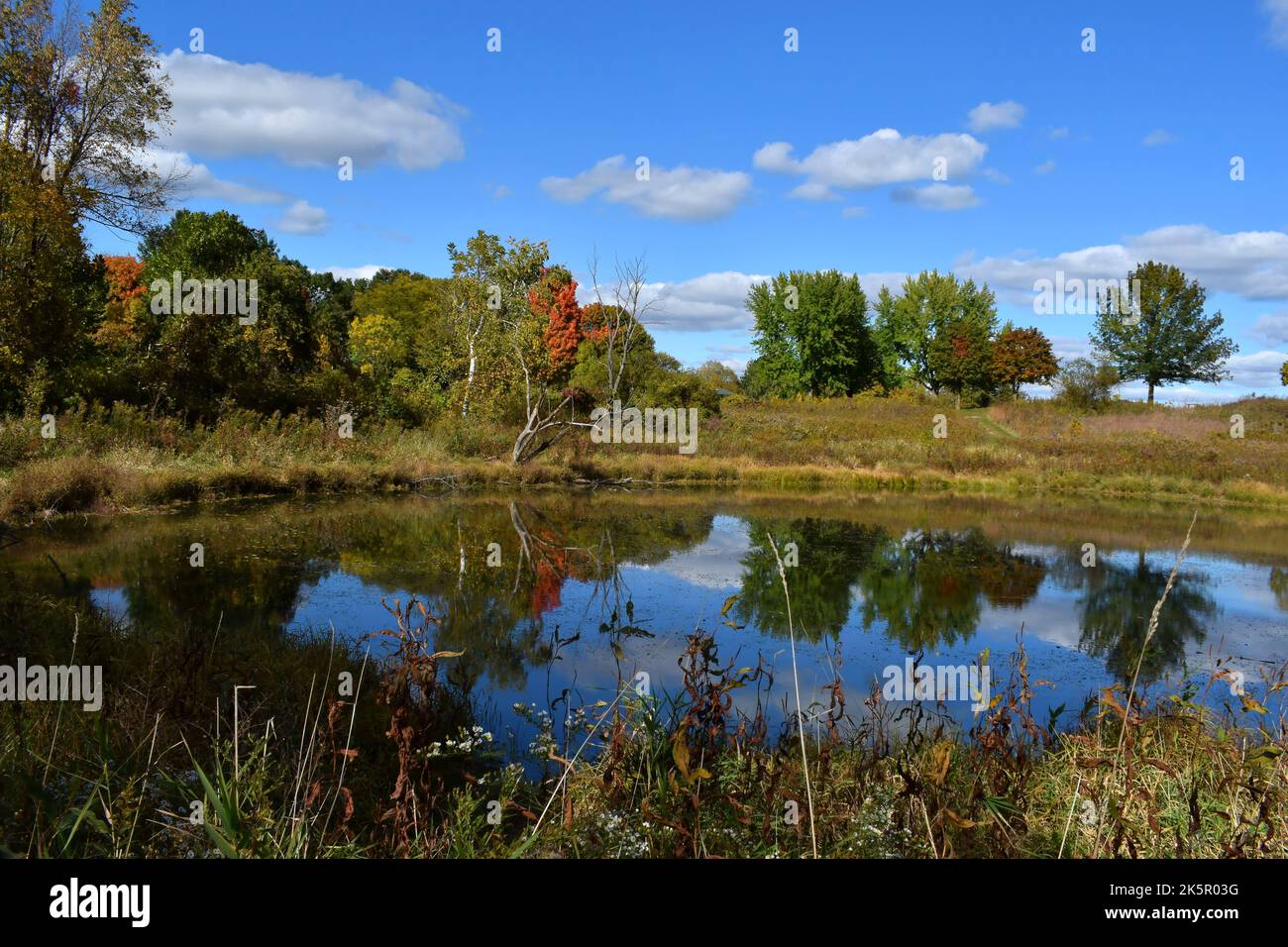 I colori autunnali si riflettono su un piccolo laghetto in una calda giornata di sole autunnale nel Wi sudoccidentale Foto Stock
