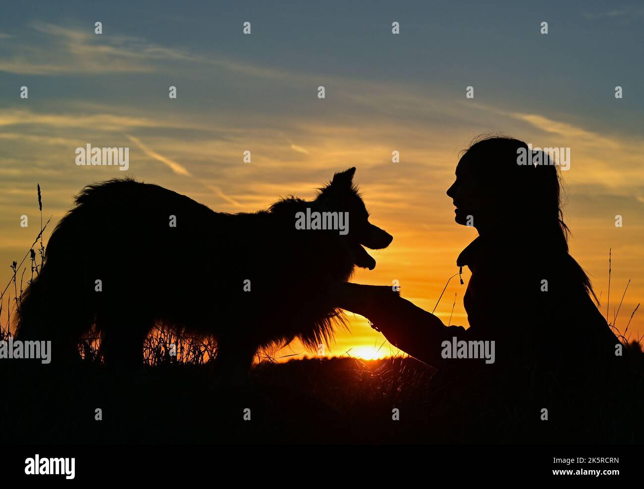 Sieversdorf, Germania. 09th Ott 2022. ILLUSTRAZIONE: Una ragazza e il suo cane di razza Collie di bordo sono visti su un prato al tramonto. La Giornata Mondiale del cane, o Giornata Mondiale del cane, viene celebrata il 10 ottobre 2022. Il giorno è un omaggio ai cani, che sono stati fedeli compagni di esseri umani per generazioni. Credit: Patrick Pleul/dpa/Alamy Live News Foto Stock