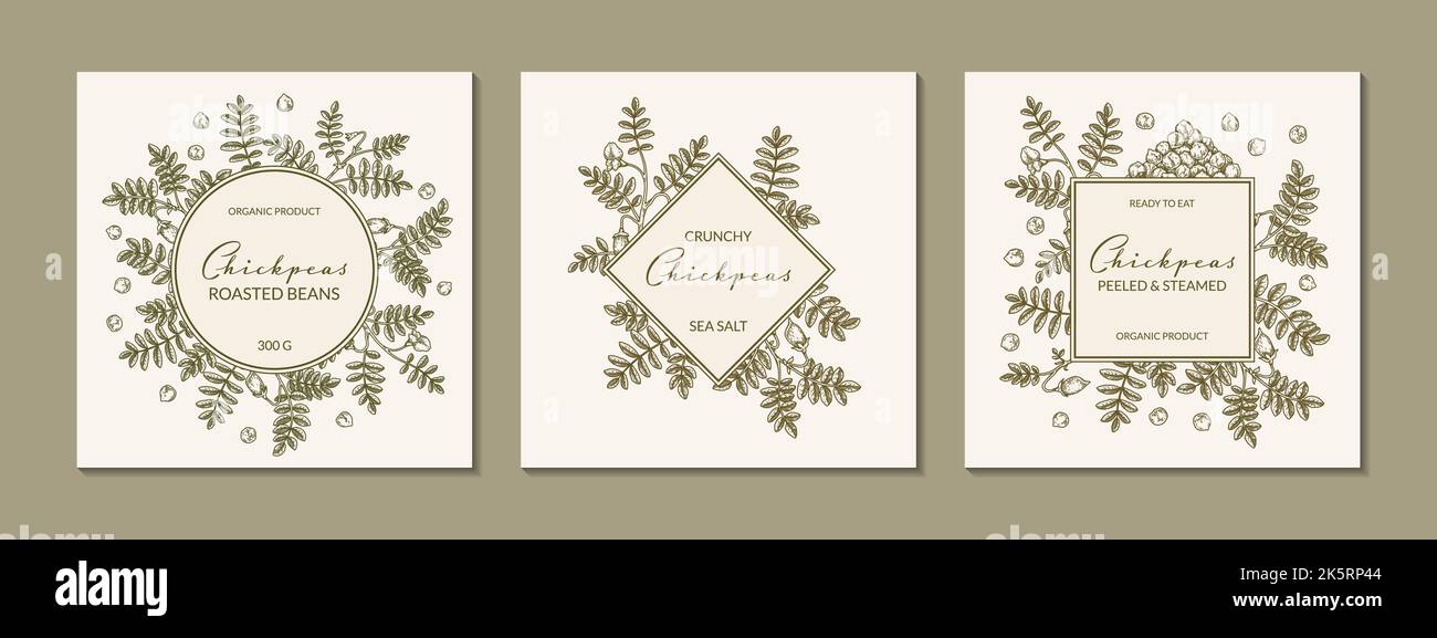 Set di cornici botanica di ceci disegnate a mano. Illustrazione vettoriale nello stile di schizzo. Design per packaging, logo, poster, badge, etichette Illustrazione Vettoriale