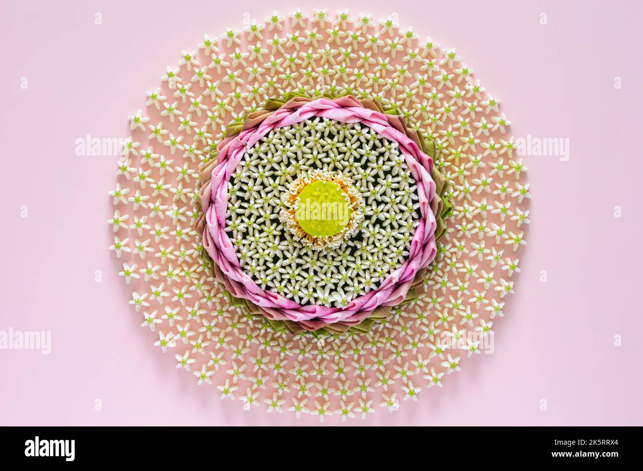 Rosa petalo di loto krathong per la Thailandia Loy Krathong festival decorare con il suo polline e fiore corona su sfondo rosa. Foto Stock
