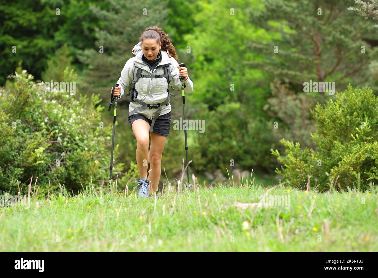 Ritratto vista frontale di un escursionista che cammina verso di voi in una foresta Foto Stock