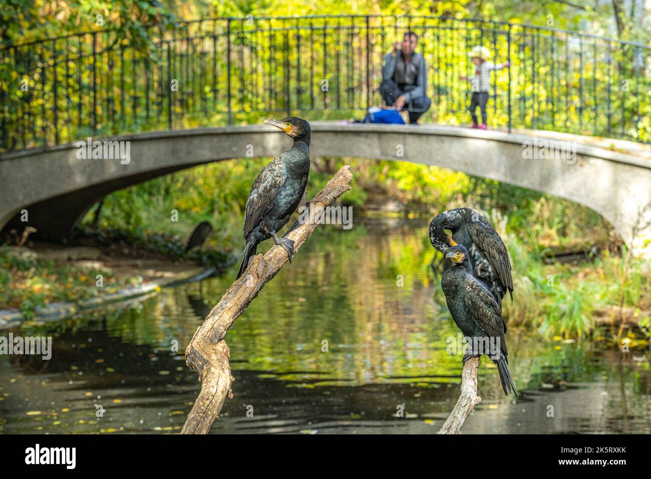 Lo Zoo di Schoenbrunn, nel parco del Palazzo di Schönbrunn, nel 13th° distretto di Hietzing, è stato fondato dagli Asburgo nel 1752. Foto Stock