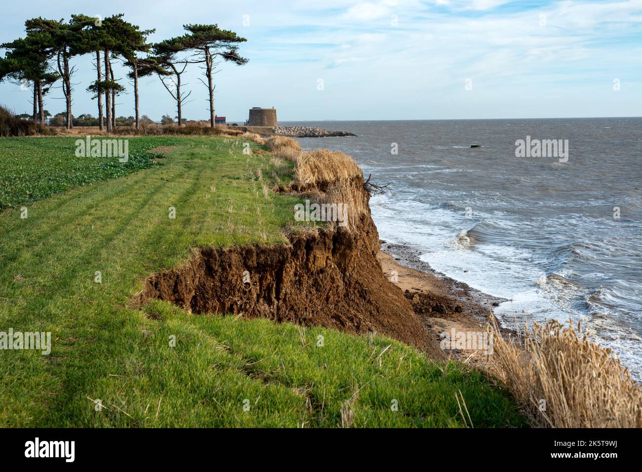 Effetti dell'erosione costiera East Lane Bawdsey Suffolk Inghilterra Foto Stock