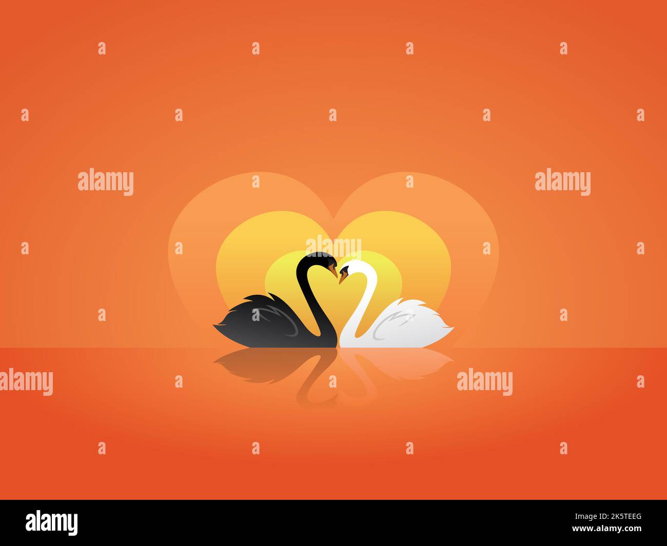 Cigno bianco e nero innamorato tramonto San Valentino illustrazione vettoriale Illustrazione Vettoriale
