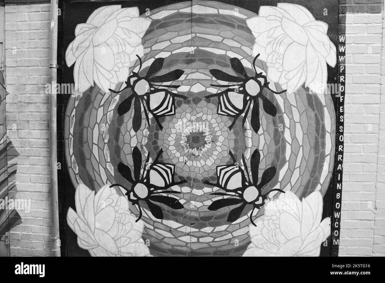 Un'immagine in bianco e nero di un graffito d'api e fiori su un muro nel distretto di Knoxville Foto Stock