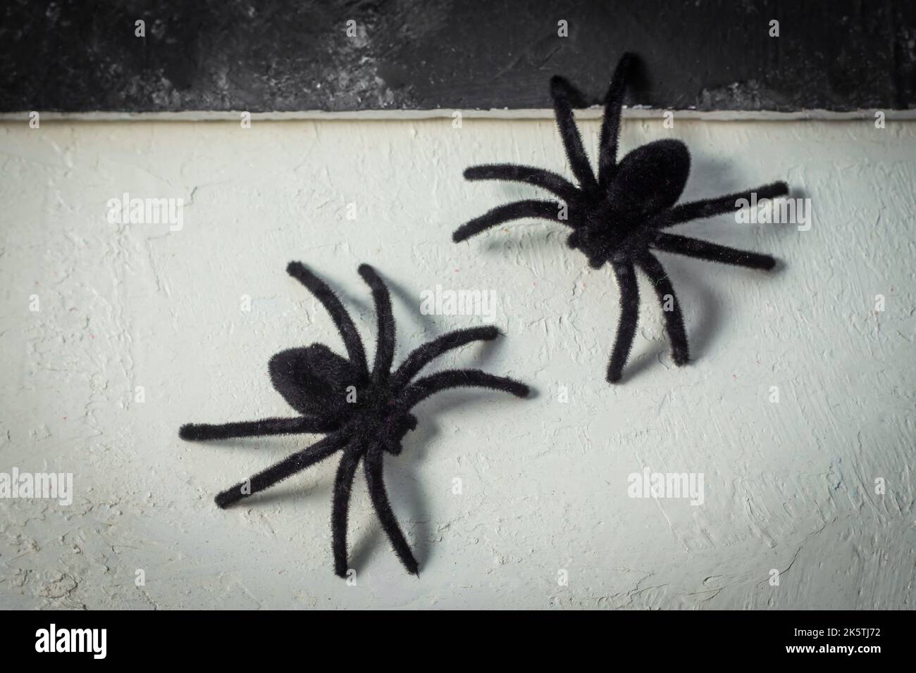 Sfondo di Halloween bianco e nero con ragni realistici Foto Stock