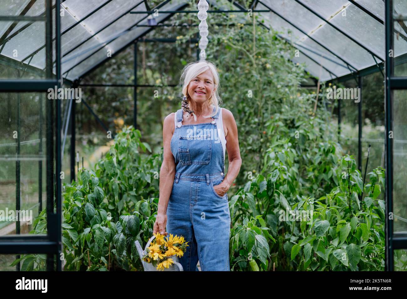 Donna anziana in posa con vaso di irrigazione e fiori nel suo concetto di serra, giardinaggio e stile di vita sostenibile. Foto Stock