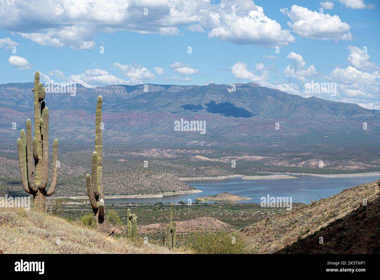 Si affaccia su una valle nella Tonto National Forest, Arizona Foto Stock