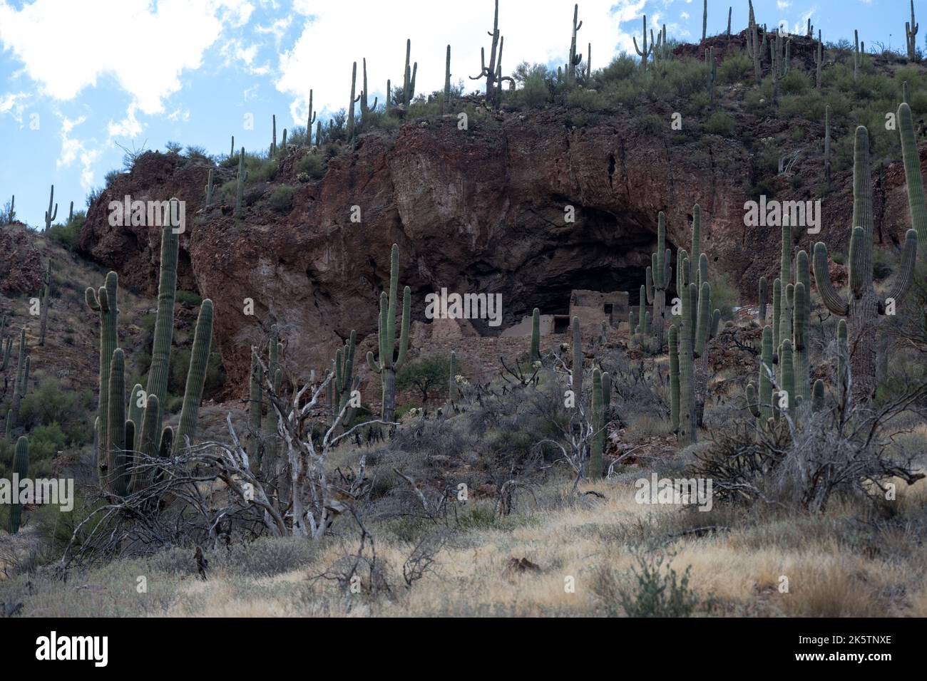 Le dimore della scogliera dei nativi americani al Tonto National Monument, Arizona Foto Stock