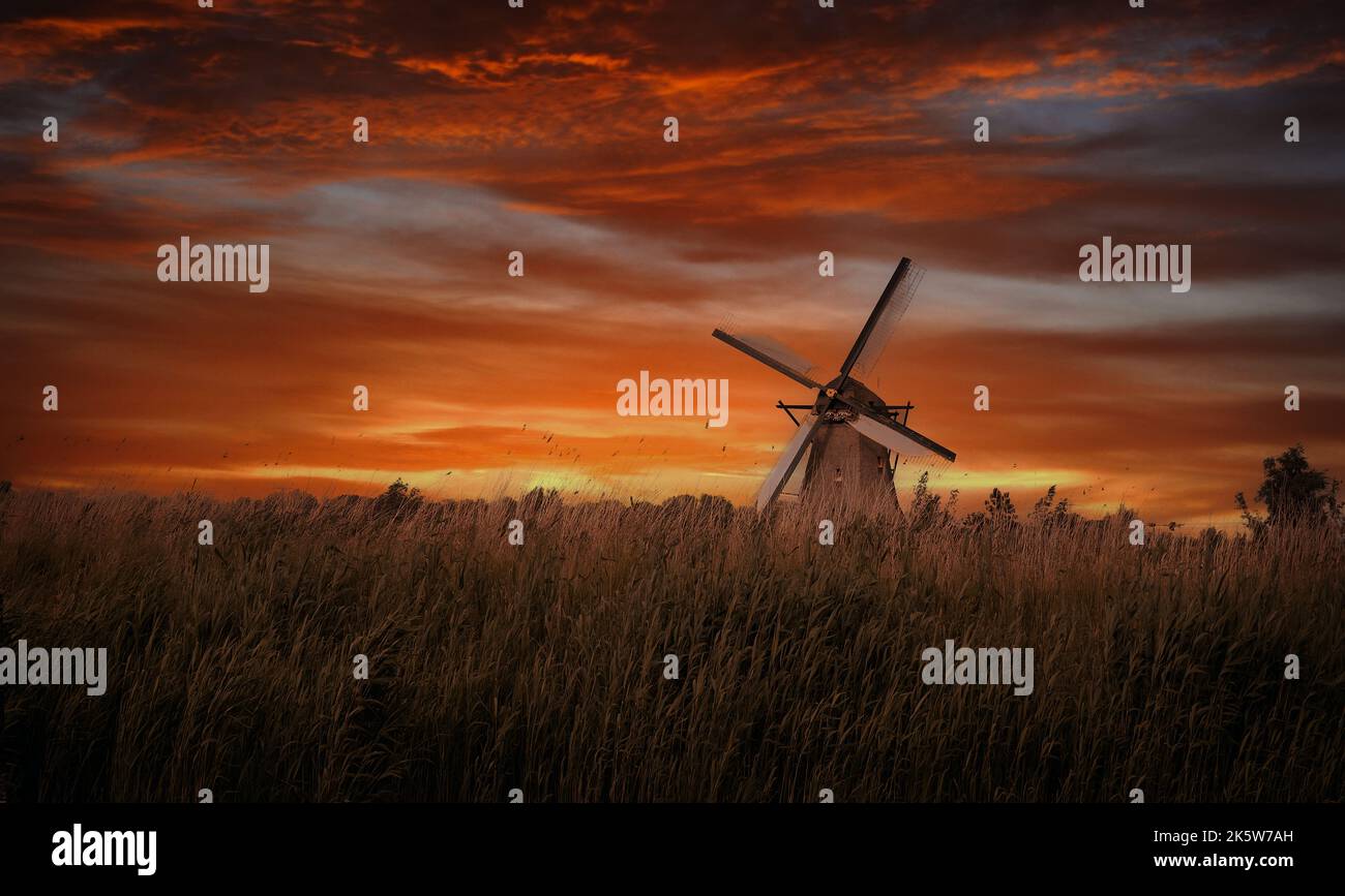 Vecchi mulini a vento a Kinderdijk al tramonto drammatico, in Olanda Foto Stock