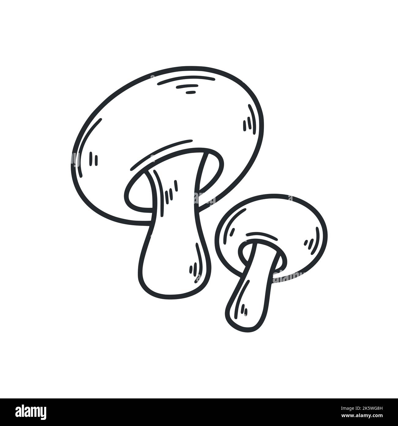 Gli smussi disegnano l'illustrazione del vettore isolato. Contorno monocromatico di funghi commestibili. Cibo sano biologico mano disegnato doodle Illustrazione Vettoriale