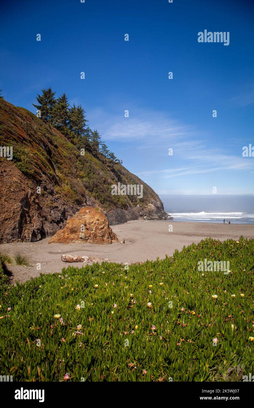 Splendida costa della California settentrionale. Foto Stock