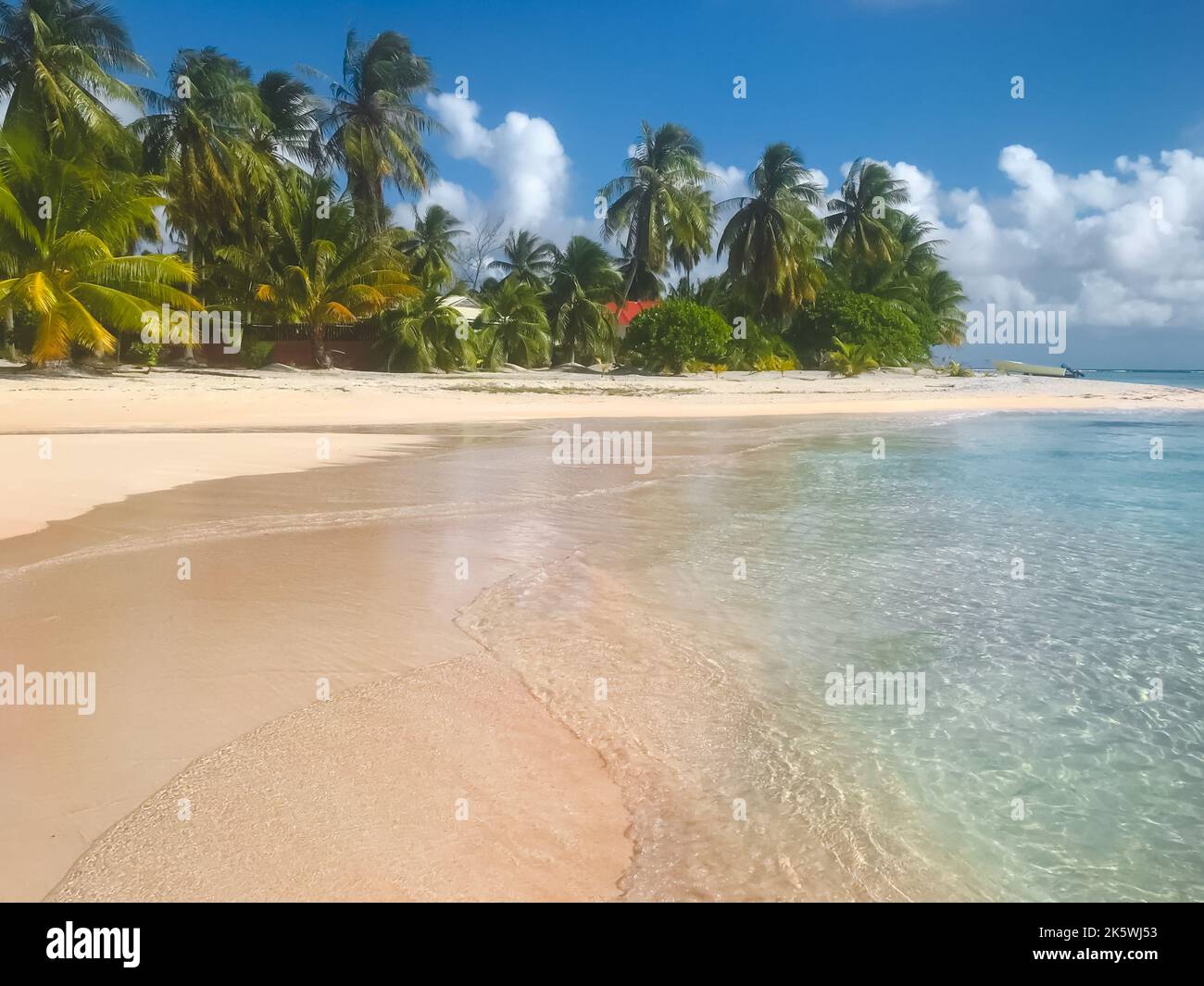 Spiaggia di sabbia rosa ideale sull'isola tropicale in Polinesia Francese. Palme sulla costa dell'oceano, acqua cristallina nelle giornate di sole. Bellissimo paesaggio naturale. Incredibile sfondo naturale. Viaggi, vacanze turistiche Foto Stock