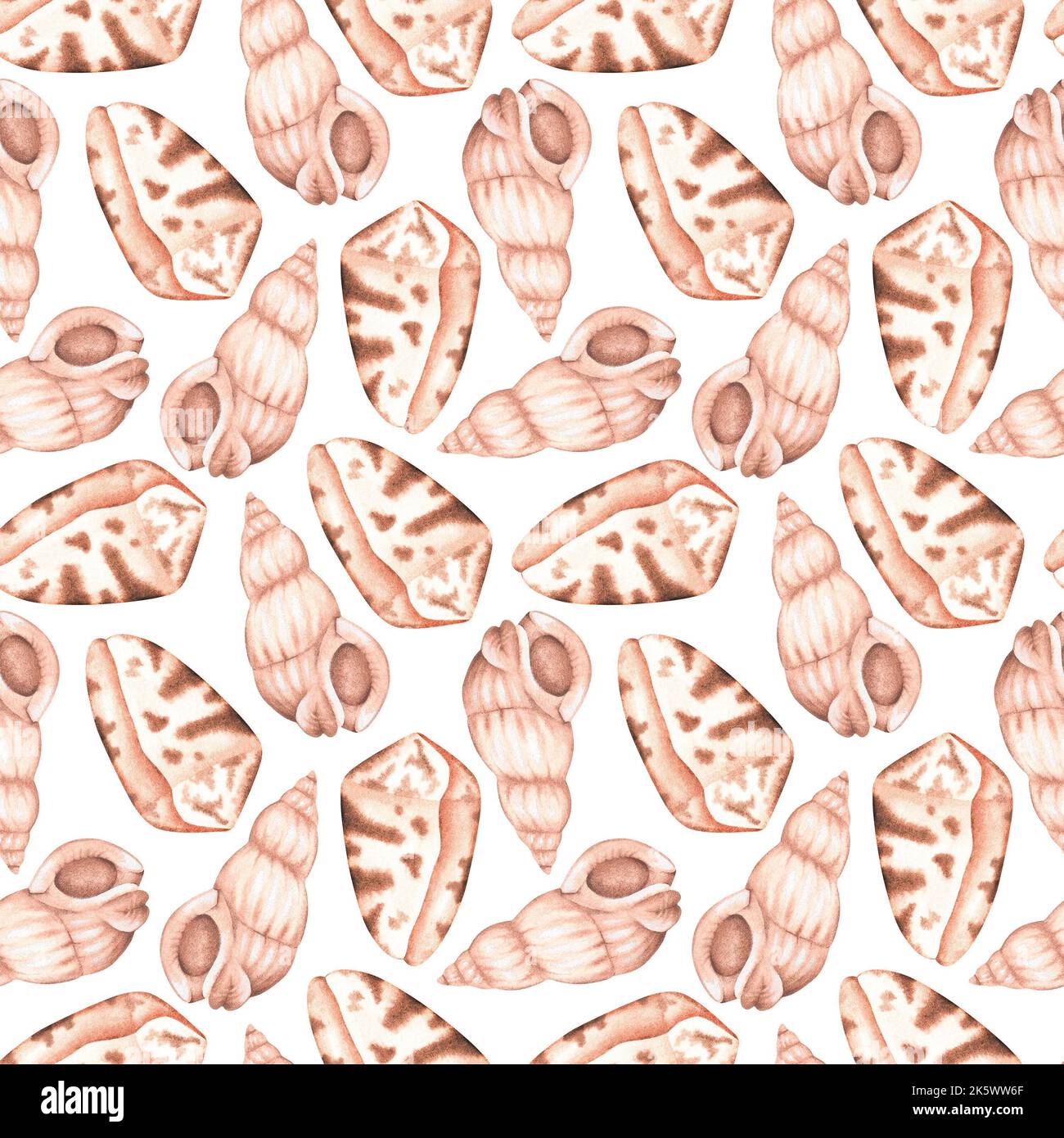 Modello seashells senza cuciture. Illustrazione vintage acquerello. Isolato su sfondo bianco. Per il design di tessuti, abiti, cancelleria, accessori Foto Stock