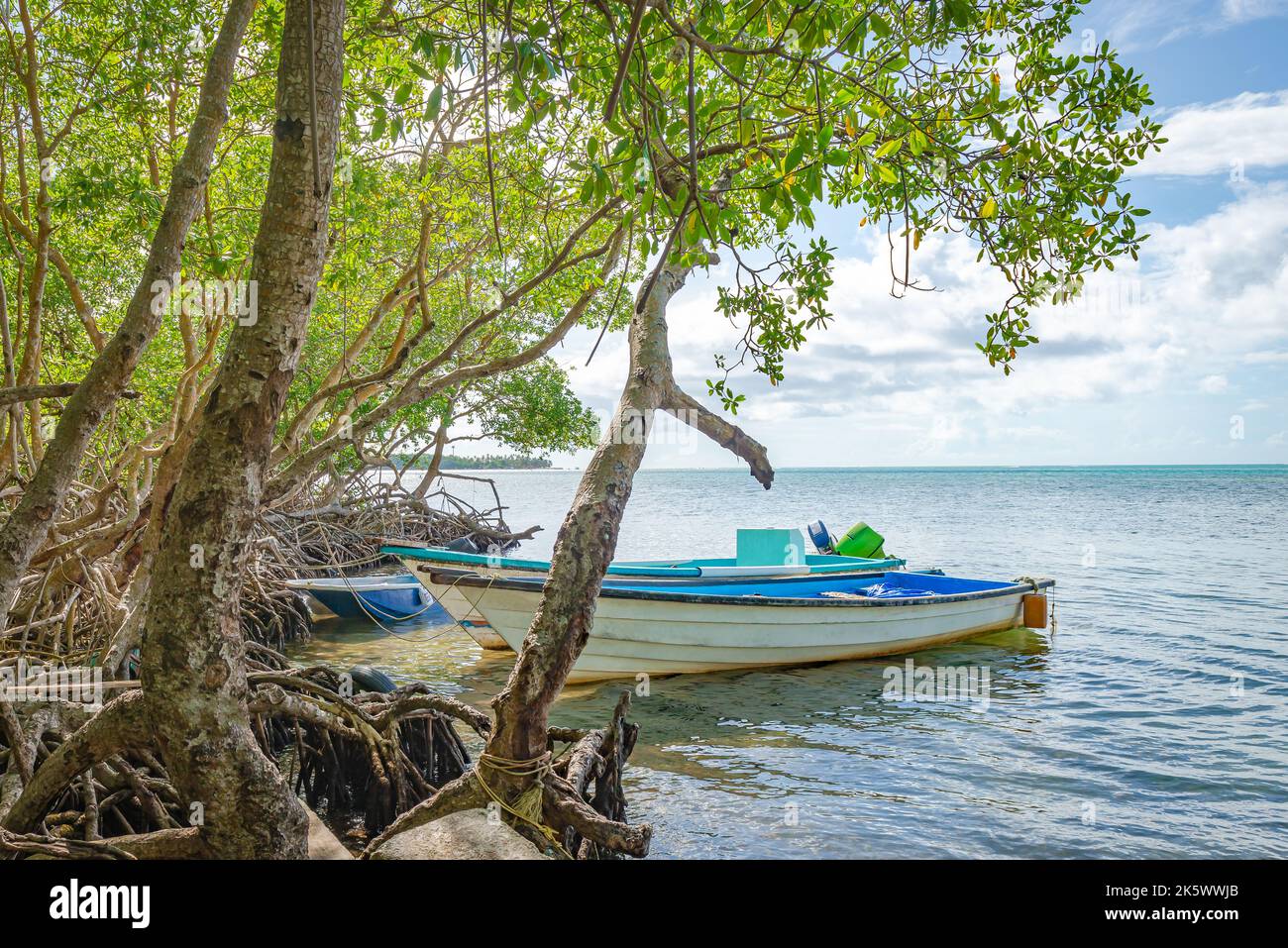 Barca riposo mangrovia spiaggia mare pesca tropicale Tobago rilassante vista Foto Stock