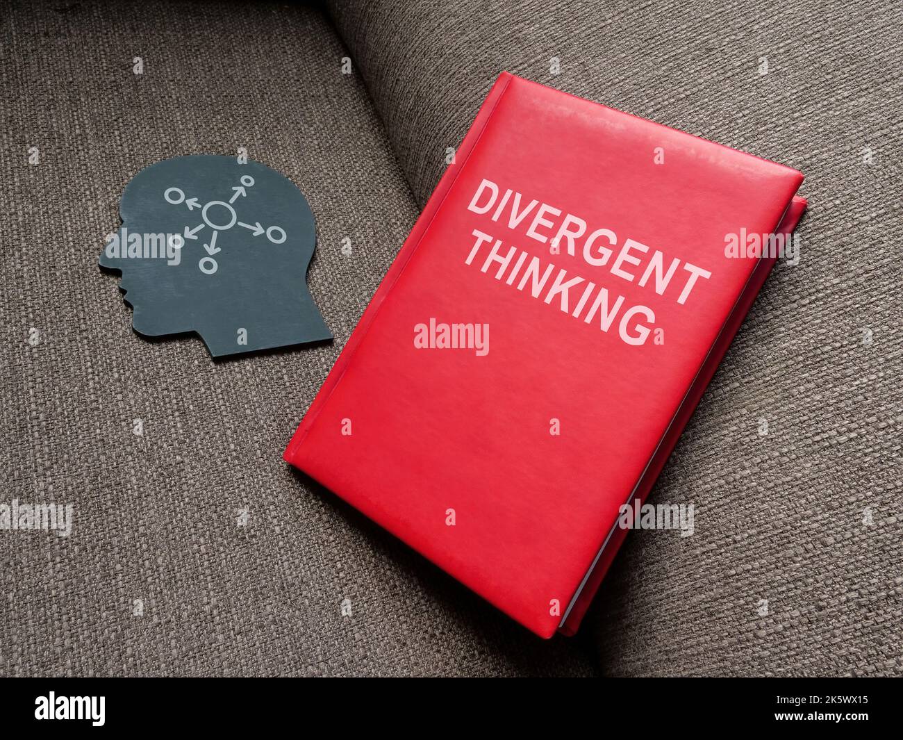 Libro pensante divergente sul divano e sulla testa. Foto Stock