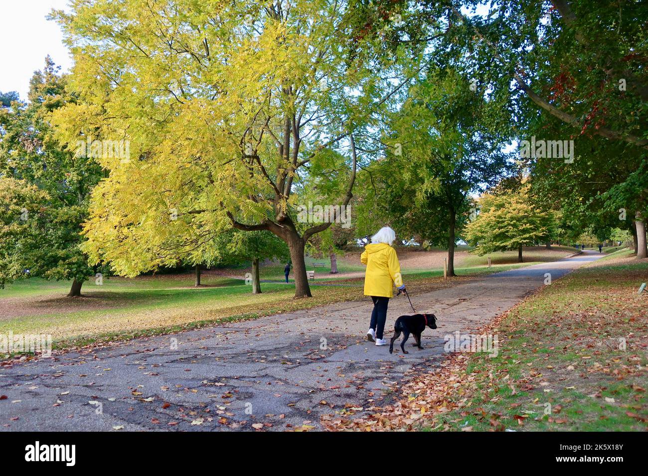 Ipswich, Suffolk, UK - 10 ottobre 2022 : luminoso pomeriggio autunnale in città. Colori autunnali a Christchurch Park. Foto Stock