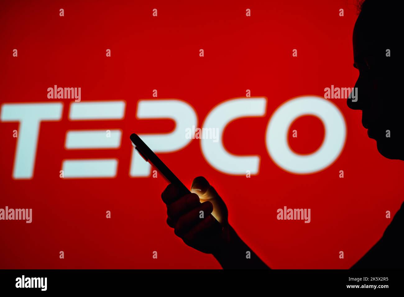 Brasile. 10th Ott 2022. In questa foto, la silhouette di una donna contiene uno smartphone con il logo Tokyo Electric Power Company (TEPCO) sullo sfondo. Credit: SOPA Images Limited/Alamy Live News Foto Stock