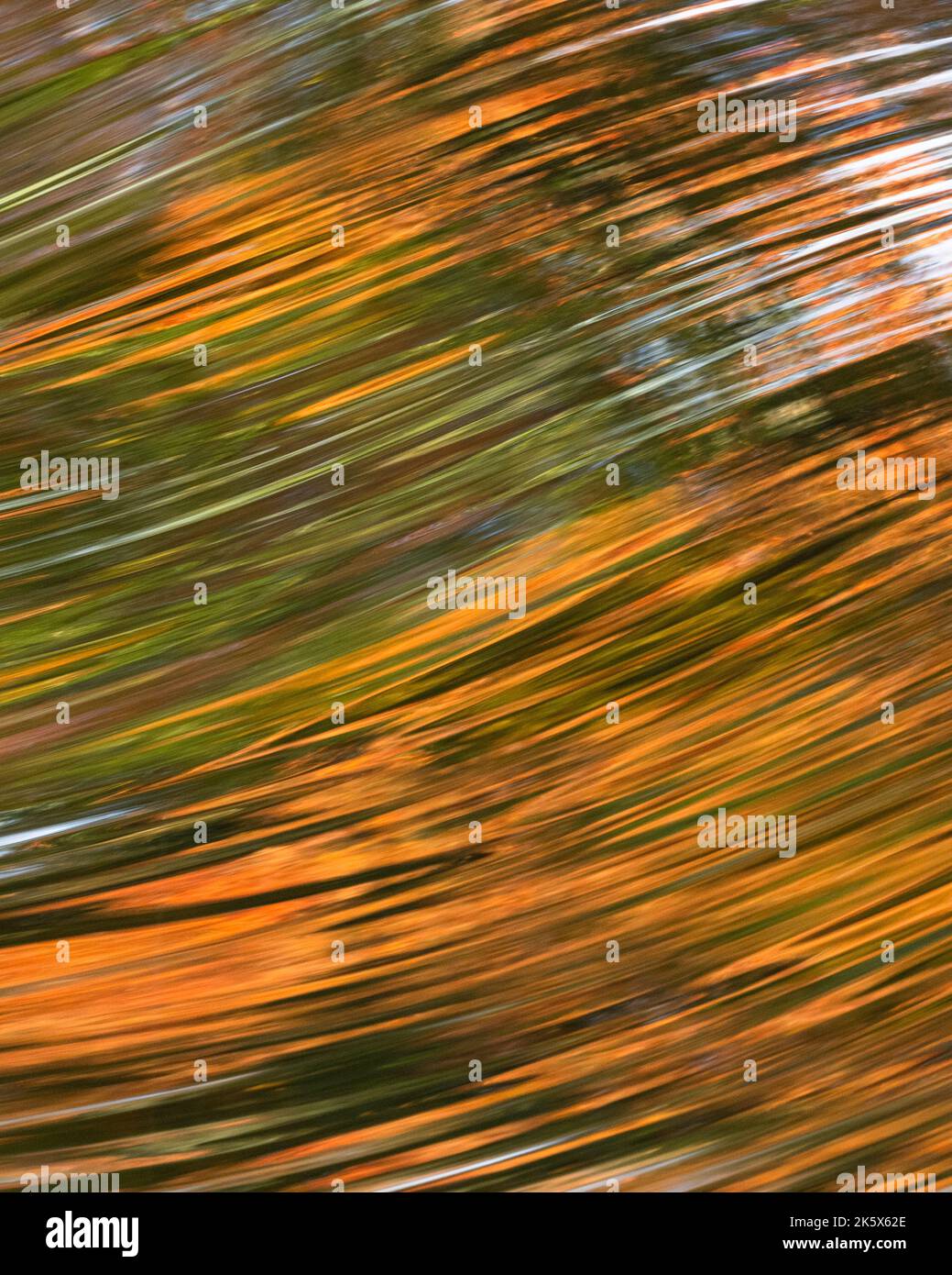 Natura Abstract - riflessi autunnali nel fiume che scorre veloce - Scozia, Regno Unito Foto Stock