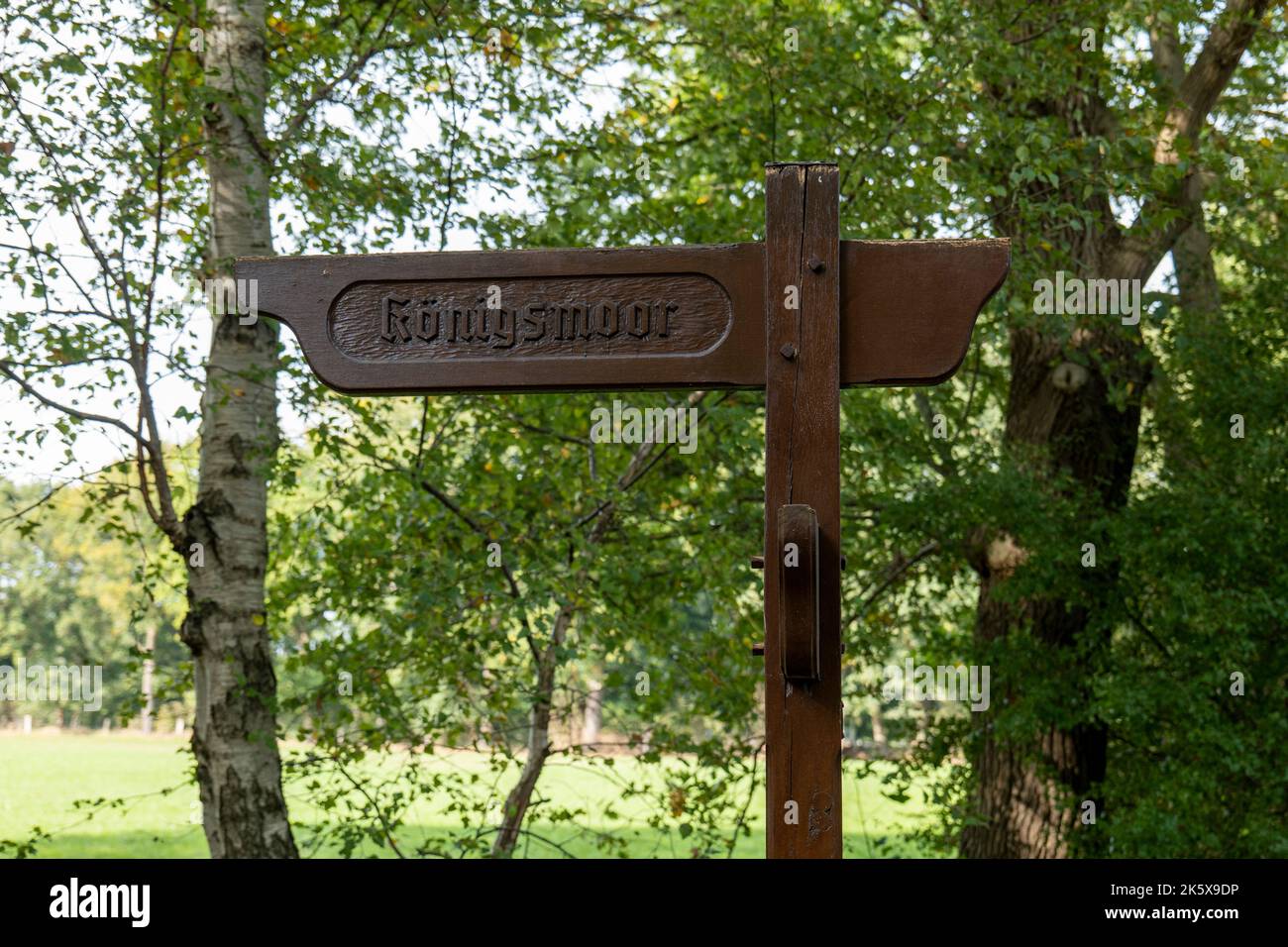 Sentiero per escursionismo segno per la palma Königsmoor allevata vicino Hagen im Bremischen, Cuxhaven, bassa Sassonia, Germania Foto Stock