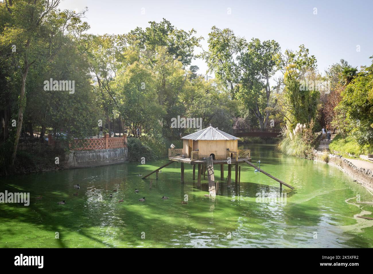 Parco cittadino di Aveiro, durante una giornata di sole Foto Stock