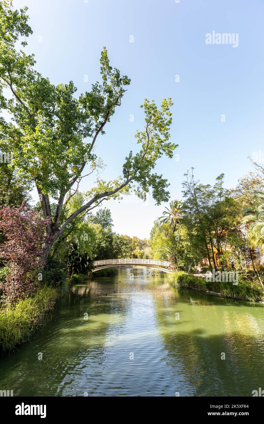 Parco cittadino di Aveiro, durante una giornata di sole Foto Stock