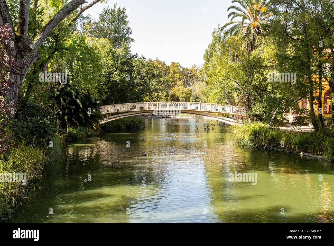 Parco cittadino di Aveiro, durante una giornata di sole Foto Stock