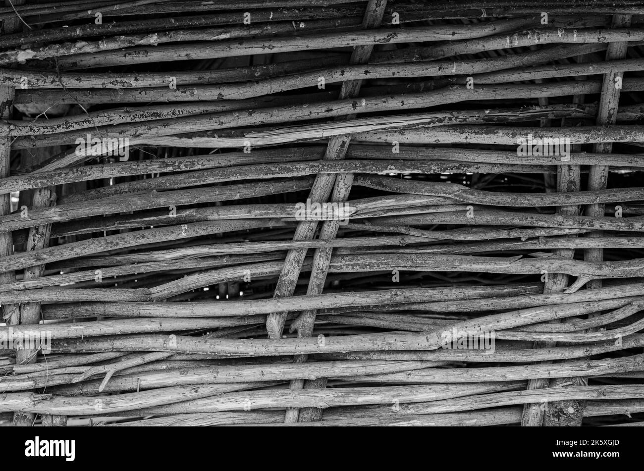 Recinzione fatta di rami di albero tavole, primo piano di tronco di albero nella foresta, scherma wattle fai da te, rami sottili tessuti tra stecche verticali, eco-friendly fenc Foto Stock