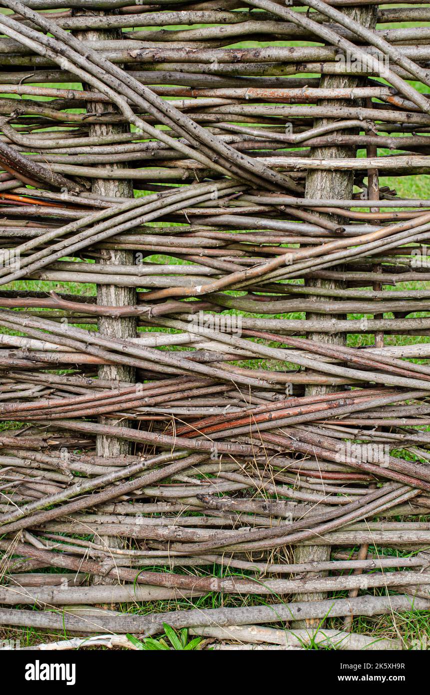 Recinzione fatta di rami di albero tavole, primo piano di tronco di albero nella foresta, scherma wattle fai da te, rami sottili tessuti tra stecche verticali, eco-friendly fenc Foto Stock