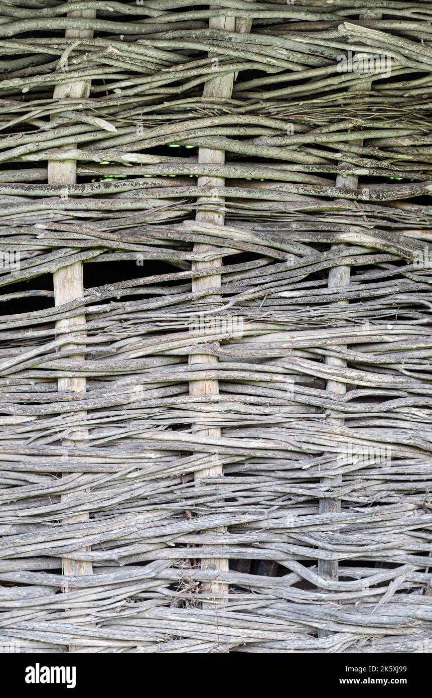 Recinzione fatta di rami di albero tavole, primo piano di tronco di albero nella foresta, scherma wattle fai da te, rami sottili tessuti tra stecche verticali, eco-friendly fenc Foto Stock