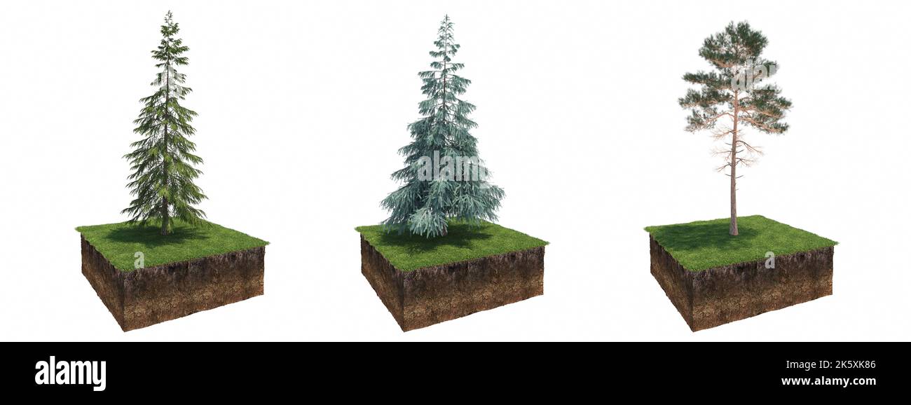 Albero deciduo e terreno tagliato sotto di esso, resa 3D Foto Stock