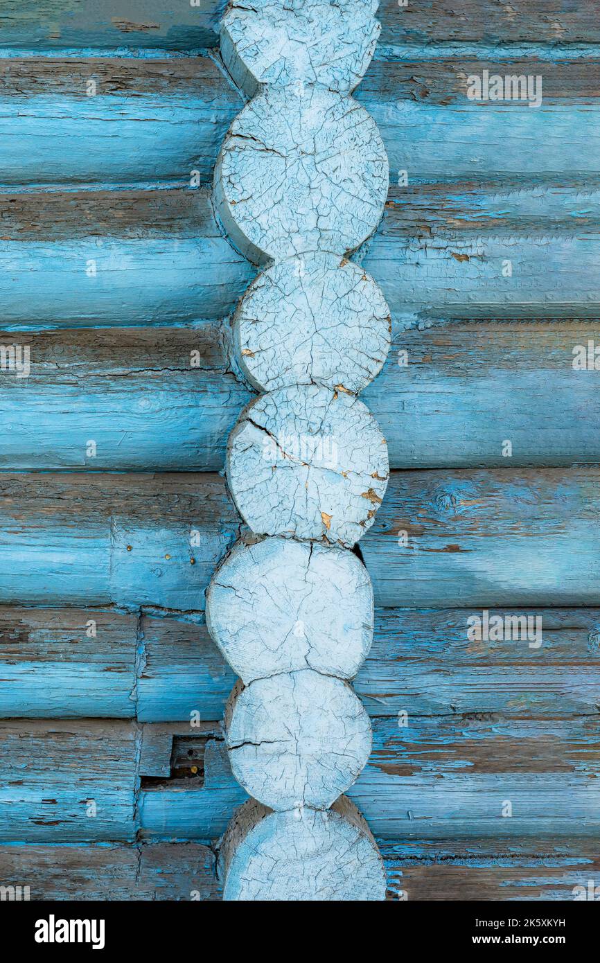 Primo piano di muro di legno, sezione trasversale di vecchia casa da tronchi di legno con crepe Foto Stock