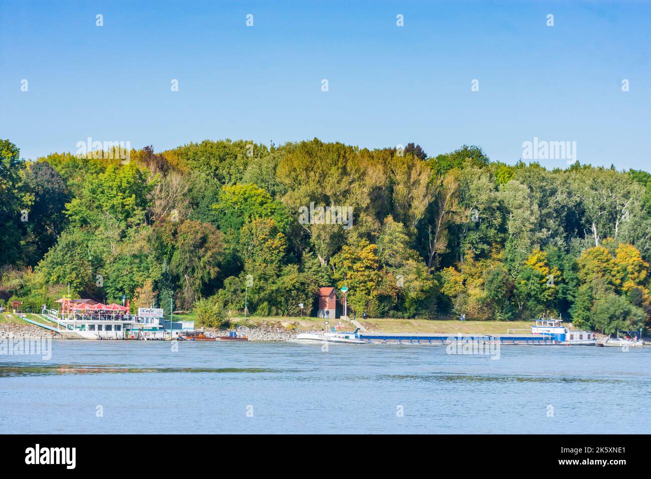 Parco Nazionale Donau-Auen, Danubio-Auen Parco Nazionale: fiume Donau (Danubio), molo, caffè Struden, nave da carico, traghetto ciclabile a Donau, Niederösterreich, L Foto Stock