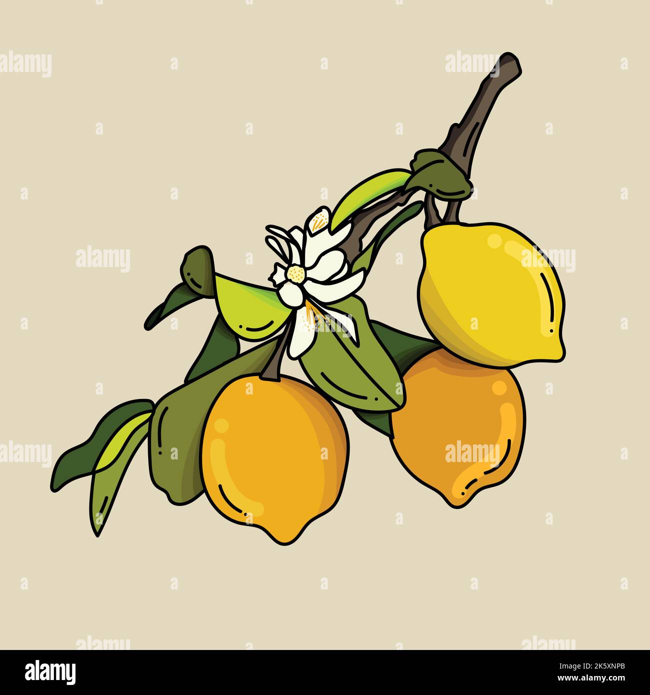 acquerello vettoriale ramificazione di limone di frutta su sfondo bianco Illustrazione Vettoriale