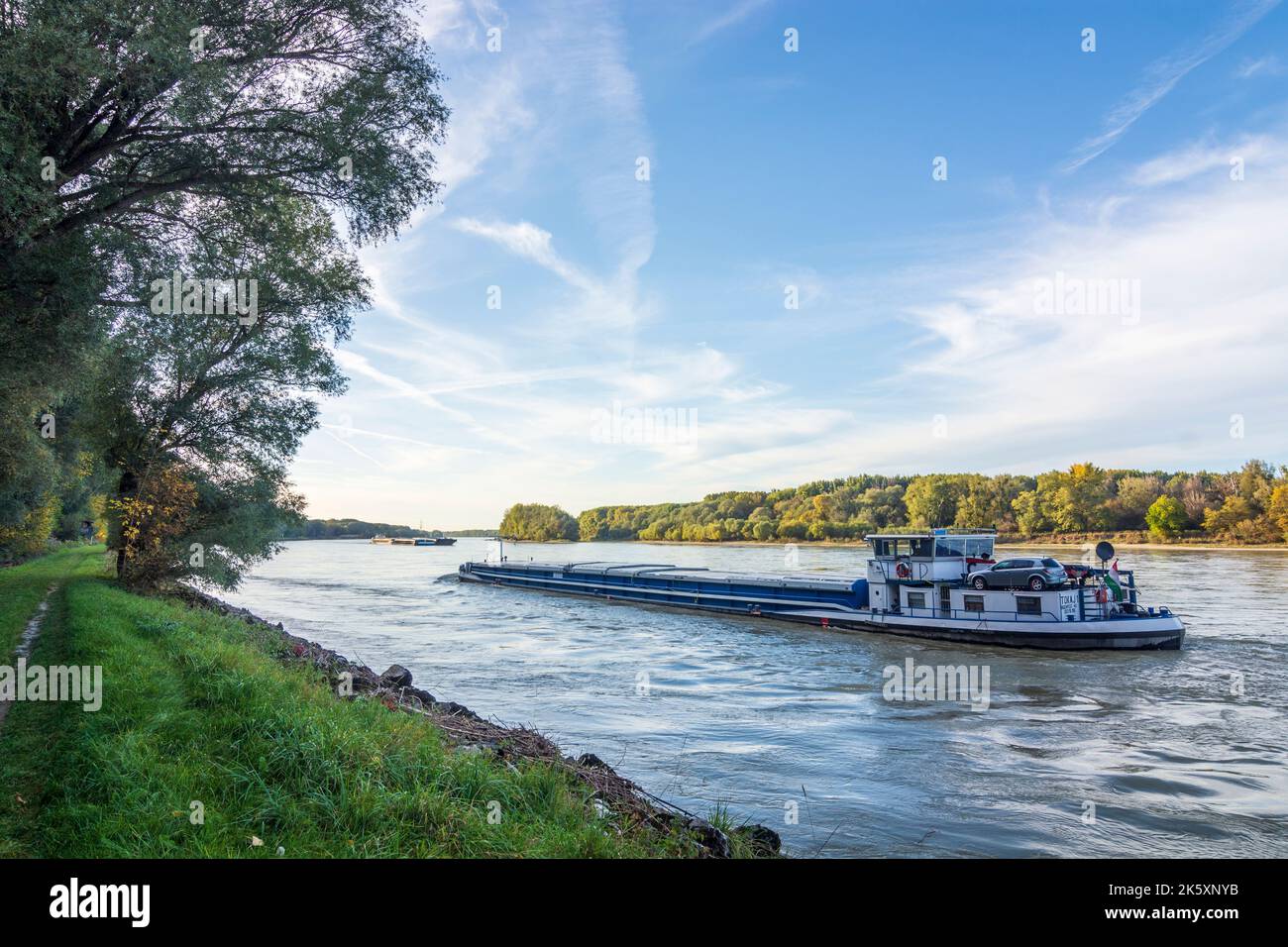 Parco nazionale Donau-Auen, Danubio-Auen Parco nazionale: fiume Donau (Danubio), nave da carico a Donau, Niederösterreich, bassa Austria, Austria Foto Stock
