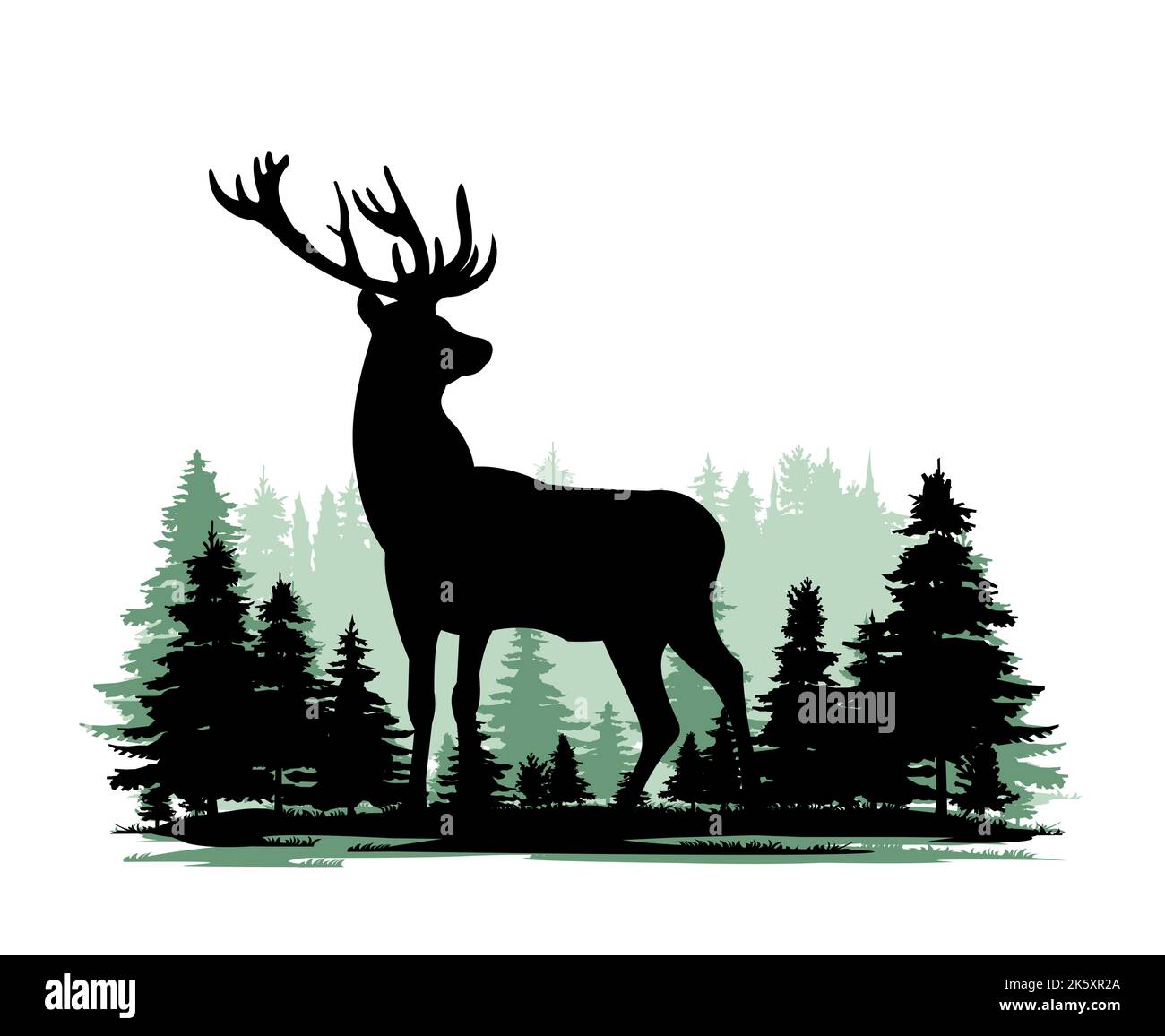 Cervo maschio adulto. Animali selvatici. Figure di silhouette. Glade in taiga foresta settentrionale di conifere. Isolato su sfondo bianco. Vettore. Illustrazione Vettoriale