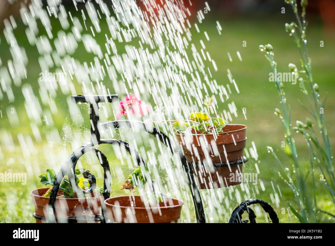 Primo piano dello spruzzo d'acqua del tubo flessibile al giardino durante l'estate Foto Stock