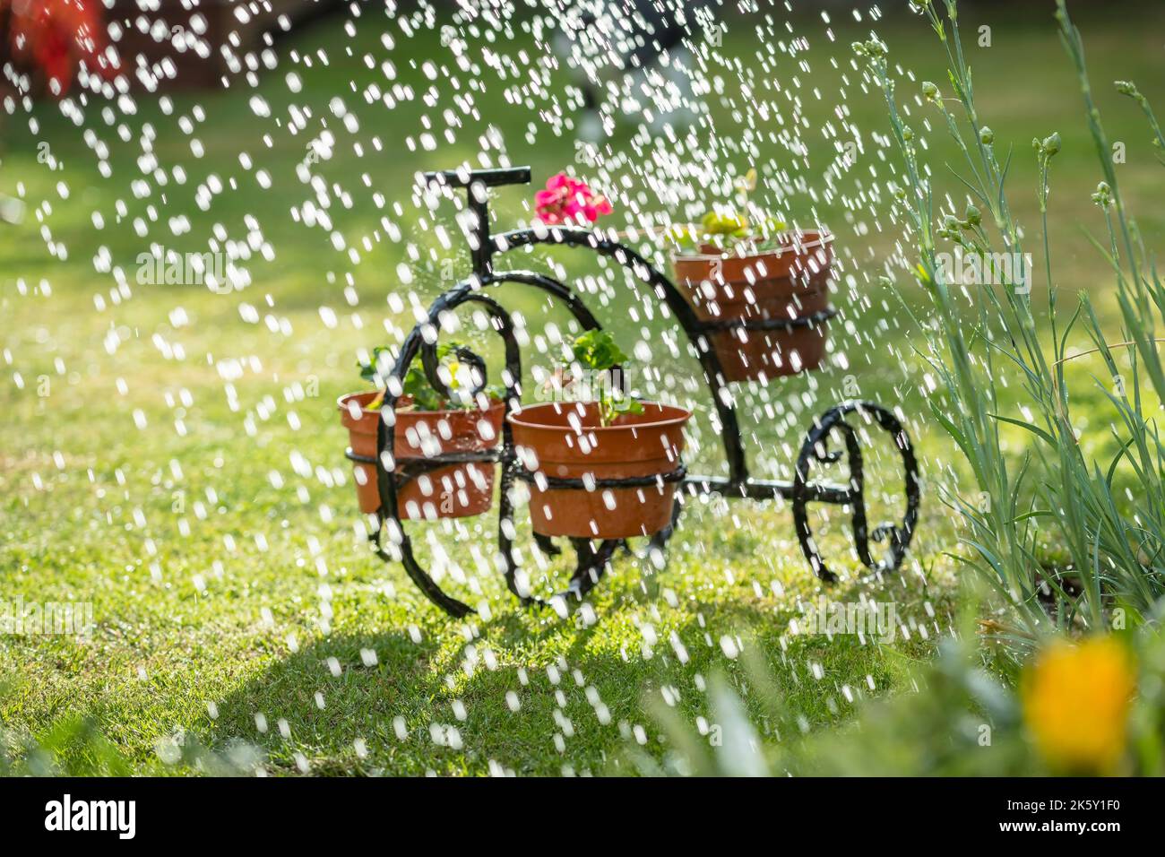 Primo piano dello spruzzo d'acqua del tubo flessibile al giardino durante l'estate Foto Stock