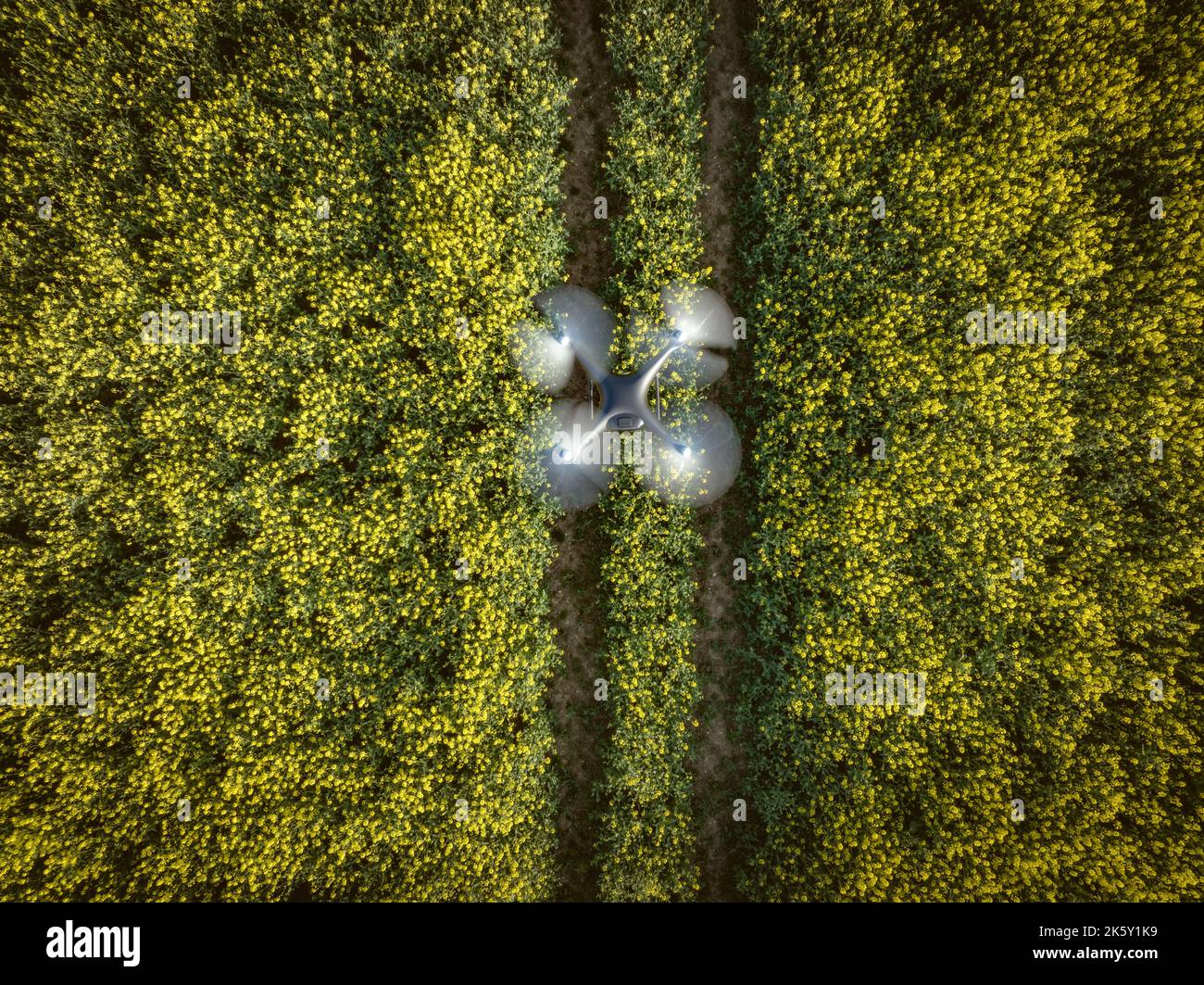 Drone che acquisisce i dati sull'agricoltura per le colture in volo in un'indagine Foto Stock Drone che acquisisce i dati sull'agricoltura per le colture in volo in un'indagine Foto Stock