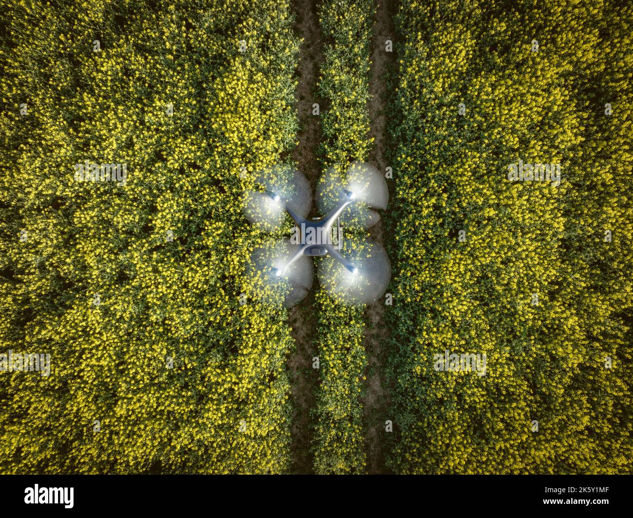 Drone che acquisisce i dati sull'agricoltura per le colture in volo in un'indagine Foto Stock Drone che acquisisce i dati sull'agricoltura per le colture in volo in un'indagine Foto Stock