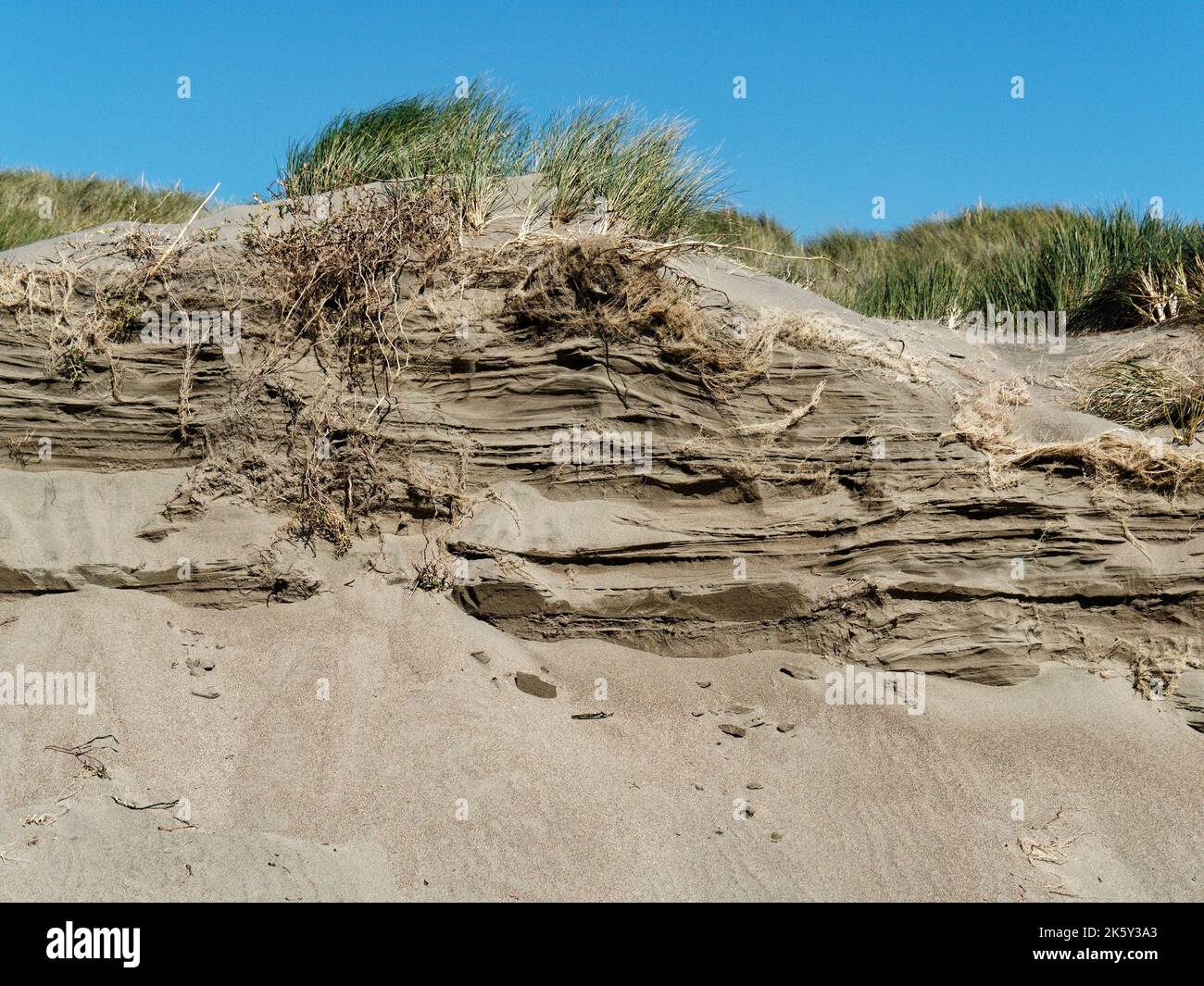 Stratificazione nelle dune di sabbia dietro Dillon Beach nella contea di Marin, California, Stati Uniti vicino a Tomales mostra la crescita delle dune nel tempo. Foto Stock
