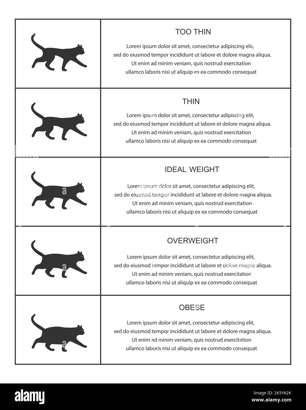 Tabella dei pesi dei gatti nella tabella infografica. Silhouette di gattini con condizioni normali e anormali del corpo. Piccoli animali domestici felini sottili, ideali, sovrappeso e obesi. Illustrazione grafica vettoriale Illustrazione Vettoriale